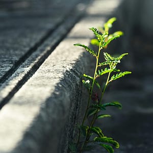 Hypnose quitter le mode survie